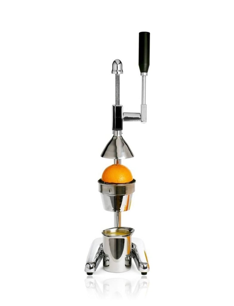 Citrus Power Juicer - 'Silver'